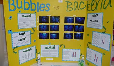 7Th Grade Science Fair Ideas | Examples and Forms