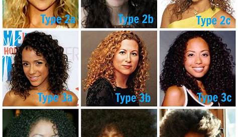 Complete hair type chart guide from various system - Human Hair Exim