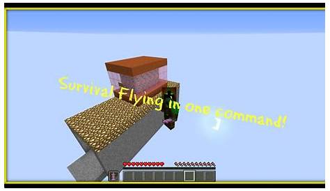 Minecraft | Flying in survival with only one command! | 1.9 - 1.10.2