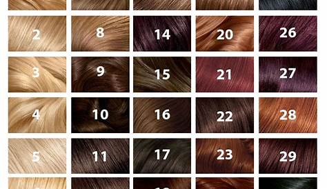 Hair Chart | Ball Room Dance Hair