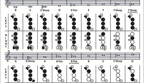 Printable Flute Finger Chart For Beginners