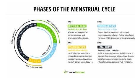 How Your Menstrual Cycle Can Affect Blood Test Results