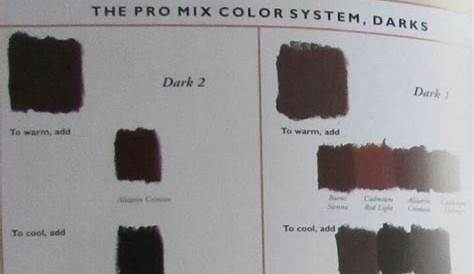Dark skin tone mixes | Skin tone chart, Color mixing, Dark skin tone
