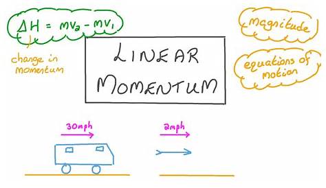 linear momentum worksheet