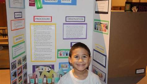 Your Permanent Record: The District Elementary Science Fair