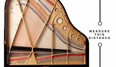 grand piano size chart