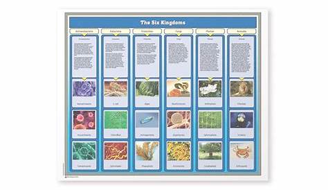 six kingdoms coloring worksheets