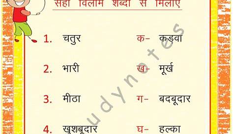 hindi grammar worksheet
