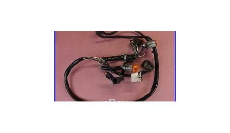 road king wiring harness