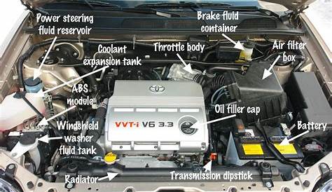 Under The Car Hood Diagram