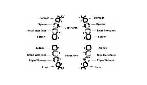 Pin on Dentistry