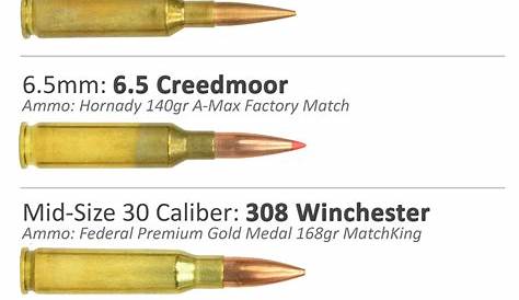 Rifle Recoil Test Cartridges - PrecisionRifleBlog.com