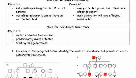 human pedigree genetics worksheet