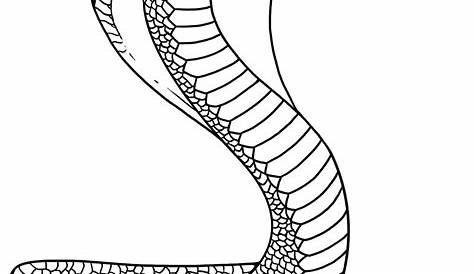 Free Printable Snake Coloring Pages For Kids | Animal Place