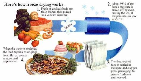 freeze drying guide pdf