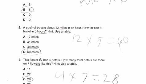 Envision Algebra 1 Worksheet Answers