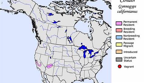 California Condor - Species Range Map