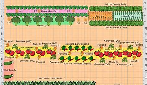 vegetable garden sun chart