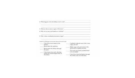 9th Grade Biology Worksheets Pdf – Askworksheet