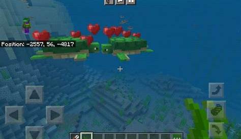 how to make turtles mate in minecraft