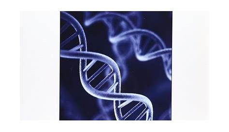 Genetics: From Genes to Genomes (5th Edition) Hartwell | 9780073525310