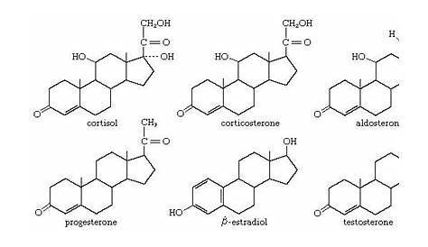 examples of steroids biology