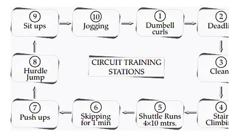 circuit training diagram template