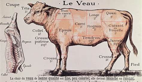 veal cuts chart meat