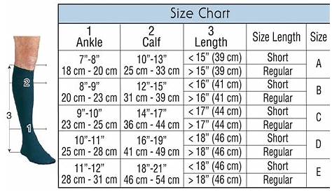 Compression Socks | Circulation Socks | Leg Support