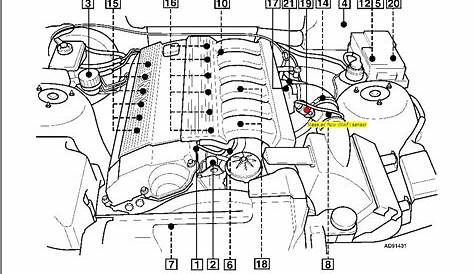 Bmw E46 Horn Wiring Diagram