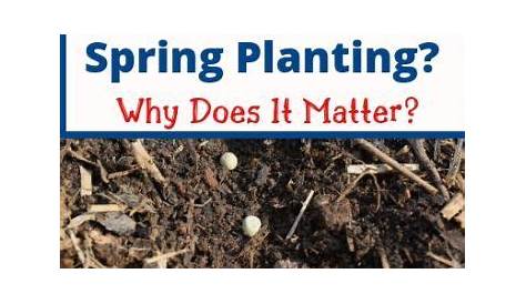 Soil Temperatures For Planting Vegetables | Vegetable planting guide