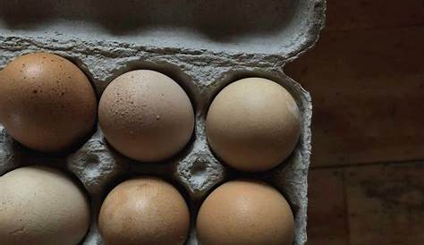 long term storage for fresh eggs