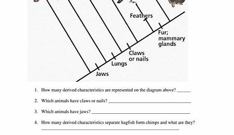 making cladograms worksheet answers