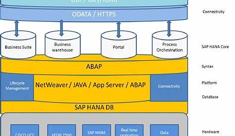 What is SAP S/4HANA? | Know in Detail About this Technology - H2S Media