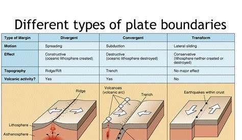 worksheet. Plate Tectonic Worksheet. Grass Fedjp Worksheet Study Site