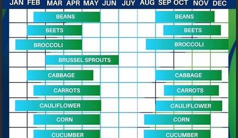 vegetable garden compatible plants chart