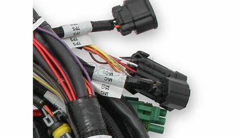 Engine Wiring Harness - Complete Engine Wire Harness Replacement