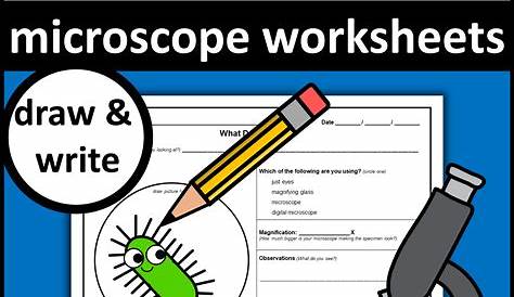 microscope activity worksheet 4th grade