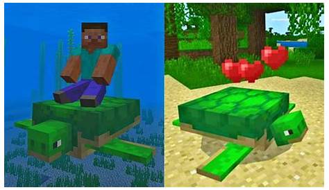 what do turtle eat in minecraft