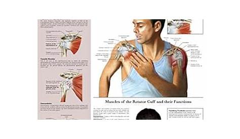front shoulder pain diagnosis chart