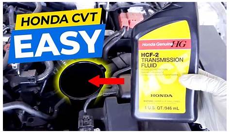 EASY!!! How to change 10th gen Honda Civic 1.5t CVT Transmission Fluid