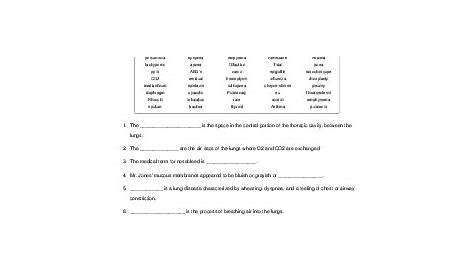 CHAPTER 11 RESPIRATORY SYSTEM - Fill-in-the-Blank Sentences Worksheet