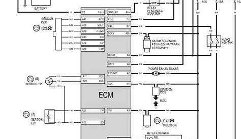 wiring diagram ecu beat fi