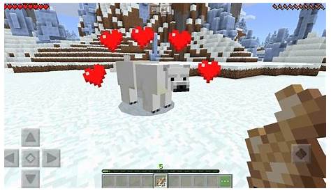 what to feed polar bears in minecraft