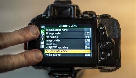 Nikon D5600: How to shoot pictures with manual exposure? – frederikboving