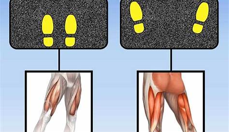 LEG PRESS FOOT POSITIONING! Simple adjustments make the exercises