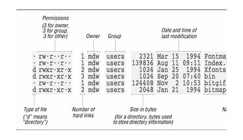 filesystems - “Other” permissions on files - Unix & Linux Stack Exchange