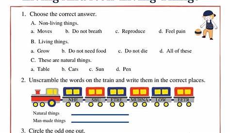 Living And Non Living Things Worksheet Grade 1 / Living And Non Living