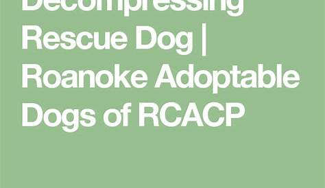 rescue dog decompression chart