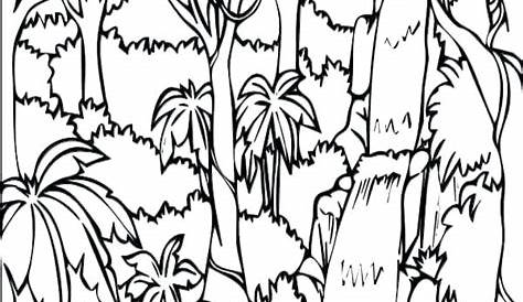 Free Rainforest Coloring Pages at GetColorings.com | Free printable